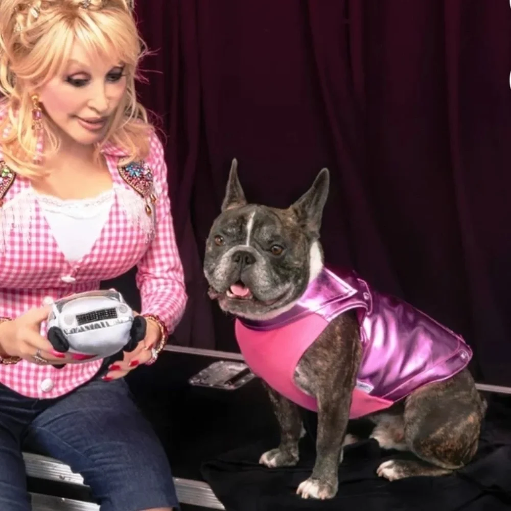 NWT Doggy Parton metallic Moto dog jacket L
